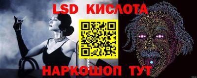 крисы Моздок