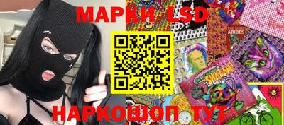 крисы Моздок