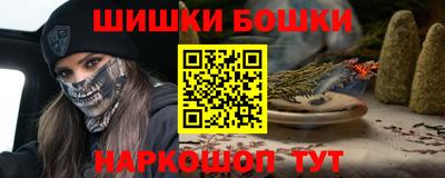 крисы Моздок