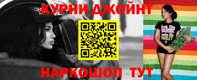 крисы Моздок
