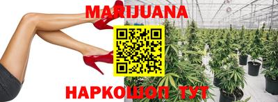 крисы Моздок