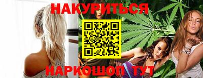 крисы Моздок
