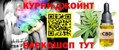 крисы Моздок